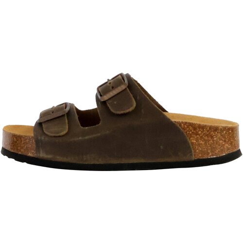 Plakton 250332 Kaki Slike