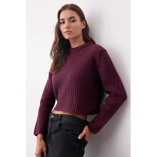 TRENDYOLMILLA ženski duks Twoaw26Kz00176, &amp;scaron;ljivasta-purple Slike