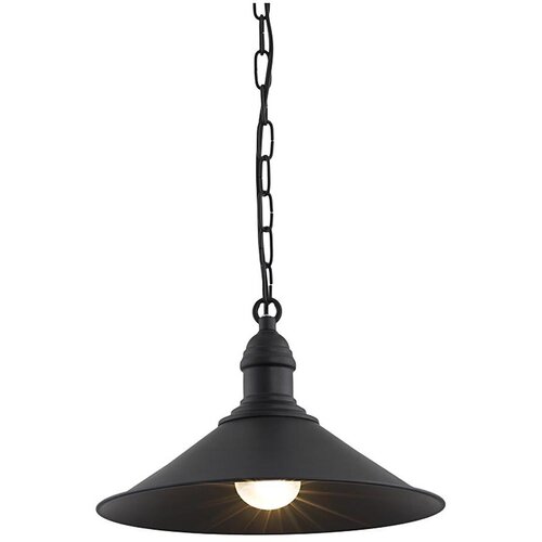  Argon 631 - Luster na lancu ERBA 1xE27/60W/230V Cene