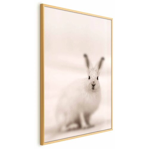  Plakat - Fearful Look 40x60 Zlatni okvir Cijene