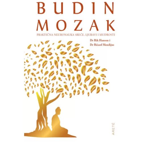  Budin mozak Slike