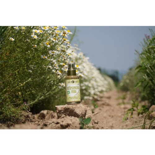 Purity Vision BIO hidrolat kamilice 100 ml Slike