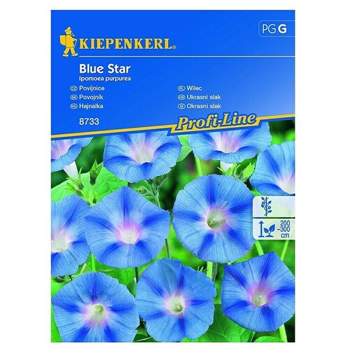 KIEPENKERL Cvetlična semena slaka Blue Star (Ipomoea purpurea) Cene
