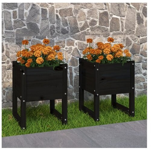  Visoka greda 2 kosa črna 40x40x52,5 cm trdna borovina Cene