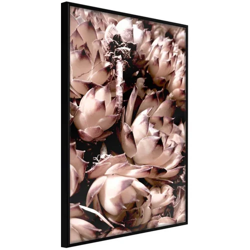  Poster - Autumnal Flowers 30x45