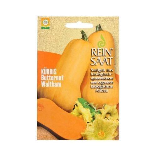 ReinSaat Jedilna buča &amp;quot;Butternut Waltham&amp;quot; Slike