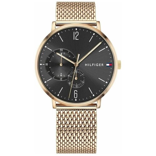 Tommy Hilfiger Analogne ure 1791506 pisana Cene