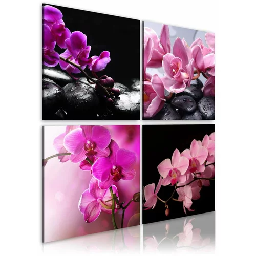  Slika - Orchids more beautiful than ever 40x40