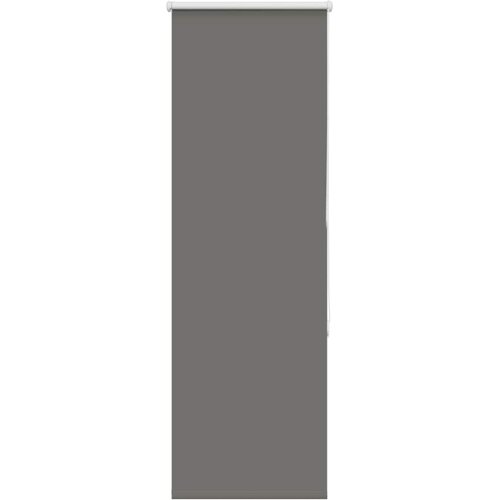 vidaXL Rolo zatemnjena siv 50x130 cm tkanina širina 45,7 cm poliester, (22059431) Cene