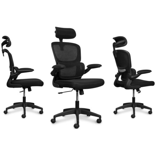 Connect IT COC-2500-BK - Kancelarijska stolica ForHealth DeltaPro crna Slike