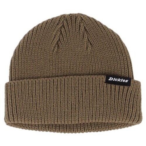 Dickies DK0A4X7Y Zelena Slike