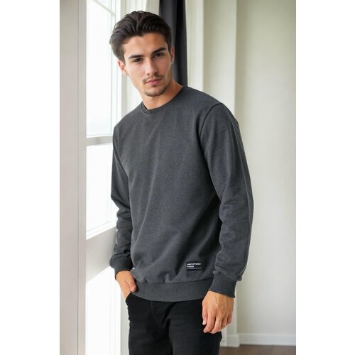 Dewberry 64602 Basic Crew Neck Mens Sweatshirt-ANTHRACITE Cijene