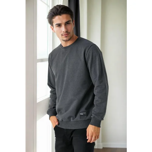 Dewberry 64602 Basic Crew Neck Mens Sweatshirt-ANTHRACITE