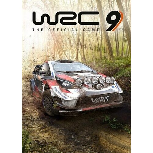  wrc 9: fia world rally championship steam key global Cene