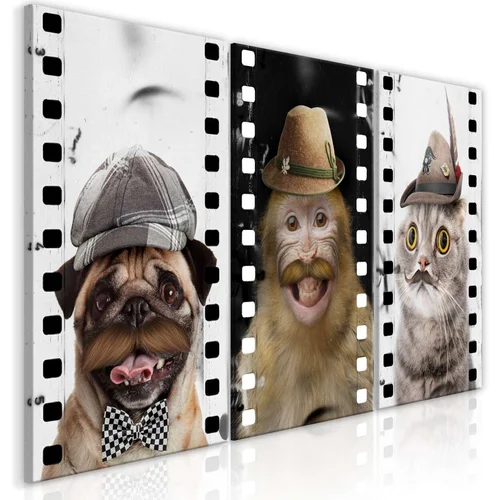  Slika - Funny Pets (Collection) 60x30