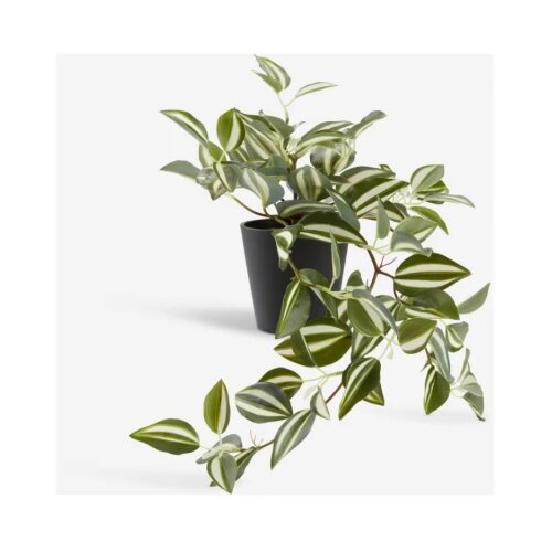  Ve&scaron;tačka biljka ASGAR V24cm zelena 4912340 Cene