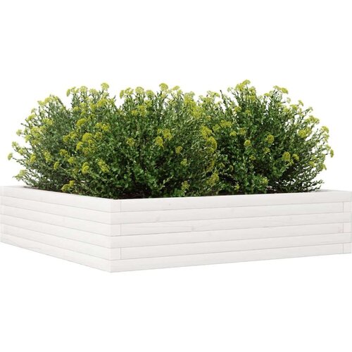  Vrtna sadilica bijela 100x100x23 cm od masivne borovine Slike