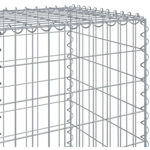 VidaXL Gabionska ko&amp;scaron;ara s poklopcem 300x50x150 cm pocinčano željezo Slike