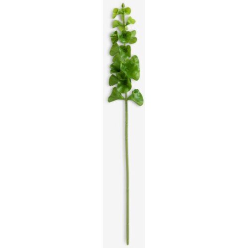  Ve&amp;scaron;tački cvet V60cm zelena Slike