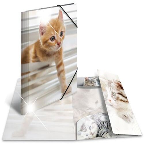 Herma Mapa z elastiko A4 PP, Glossy Mucki Cene