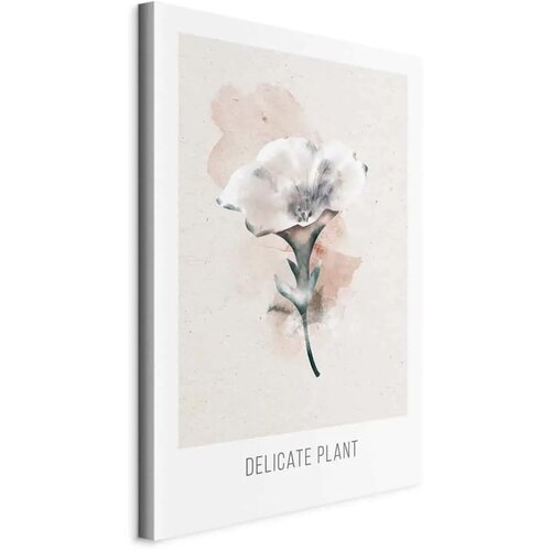  Slika - Delicate Plant (1 Part) Vertical 60x90 Cene