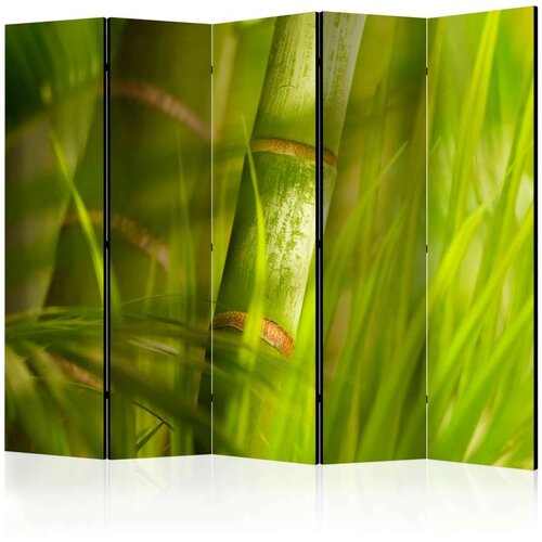  Paravan u 5 dijelova - bamboo - nature zen II [Room Dividers] 225x172 Cijene