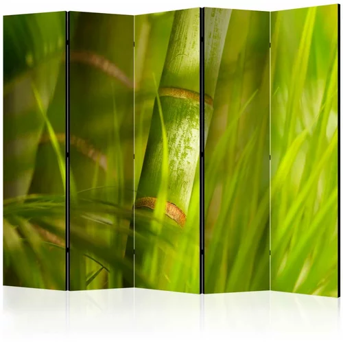  Paravan u 5 dijelova - bamboo - nature zen II [Room Dividers] 225x172
