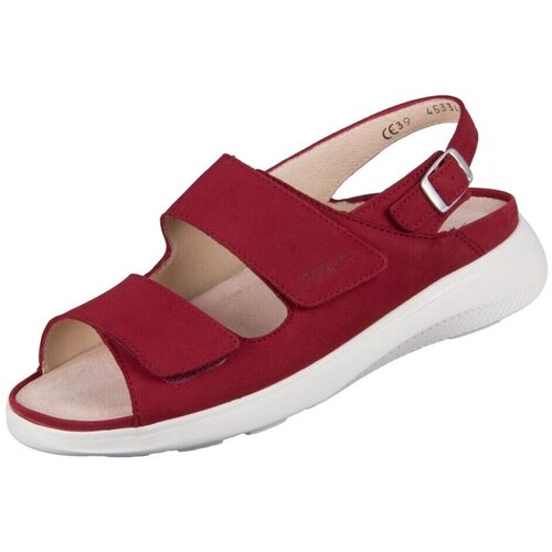 Finn Comfort Nizki čevlji 83651007094 pisana Cene