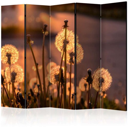  Paravan u 5 dijelova - Farewell to Summer II [Room Dividers] 225x172 Slike