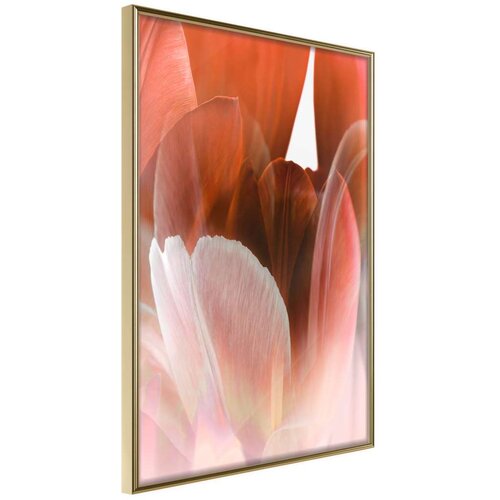  Poster - Tulip Petals 20x30 Slike