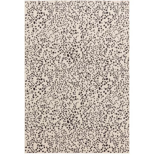 Asiatic Carpets Črna/bela preproga 80x150 cm Muse –