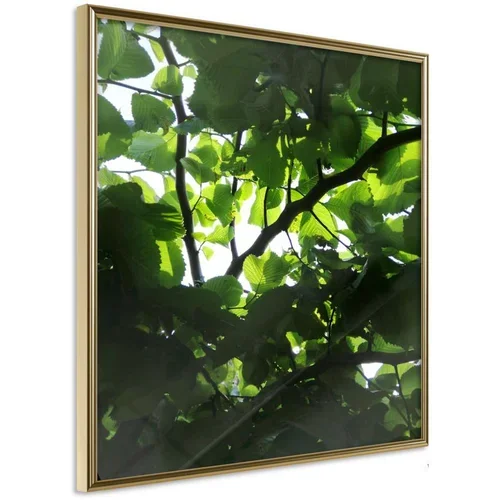  Poster - Under Cover of Leaves 30x30