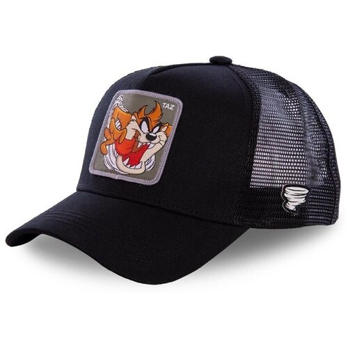 Capslab Kape s &amp;scaron;iltom Looney Tunes Tasmanian Devil Trucker Taz Siva Slike