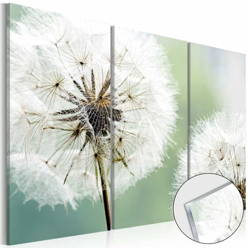  Slika na akrilnom staklu - Fluffy Dandelions [Glass] 120x80