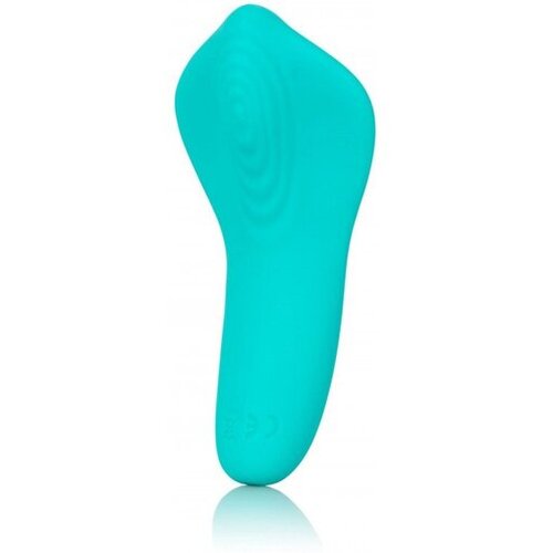 California Exotic Novelties Vibrator Calexotics Slay Pleaser Cene