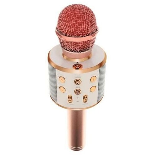  Karaoke mikrofon s zvučnikom rozi Cijene