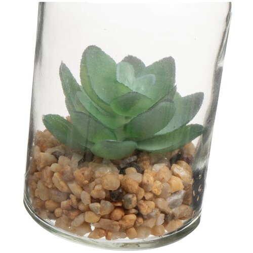 Casa Selecci&amp;oacute;n Umetne rastline v kompletu 4 ks (vi&amp;scaron;ina 12 cm) Cactus &amp;ndash; Slike