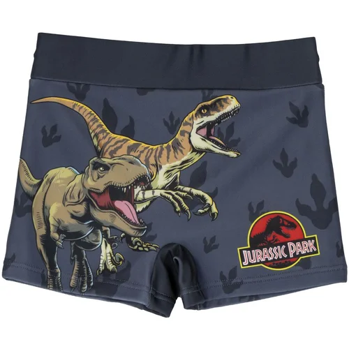 JURASSIC PARK SWIM BOXER