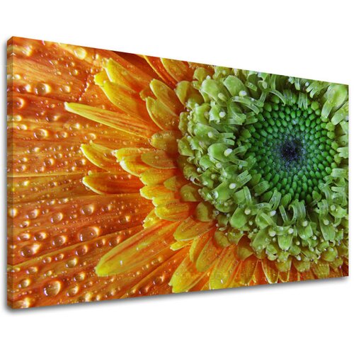  Slike na platnu cveće  (moderne slike na platnu) Cene