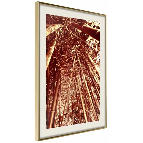  Poster - Asian Forest 30x45