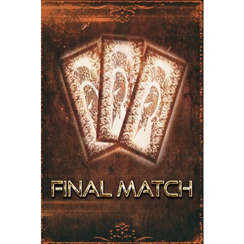  final match (pc) steam key global Cene