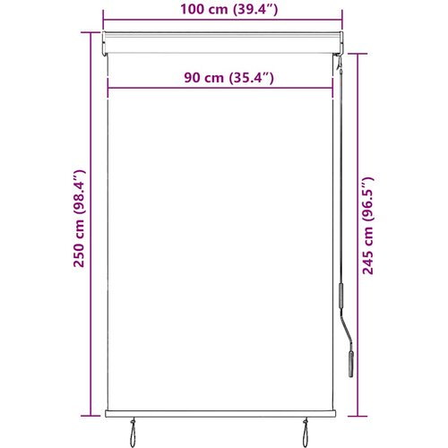  Vanjska roleta 100 x 250 cm antracit Slike