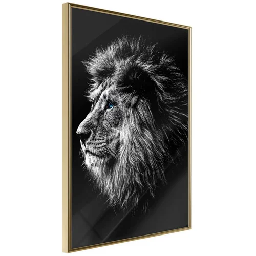  Poster - Old King 40x60