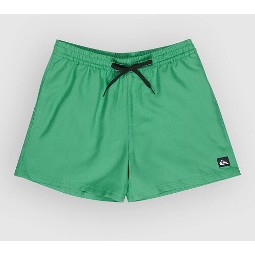 Quiksilver Everyday Deluxe Volley 15 Boardshorts leprechaun Cene
