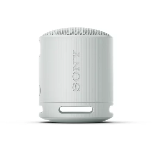 Sony SRSXB100H.CE7