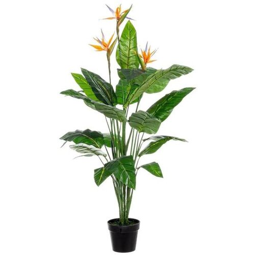  CVIJEĆE RAJSKA PTICA 150CM U SAKSIJI 0172481 Slike