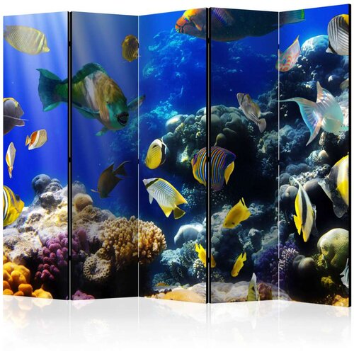  Paravan u 5 dijelova - Underwater adventure II [Room Dividers] 225x172 Slike