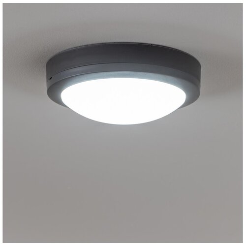  Brilagi - LED spolja&scaron;nje plafonsko svetlo LED/13W/230V &Oslash;17 cm IP54 antracit Cene