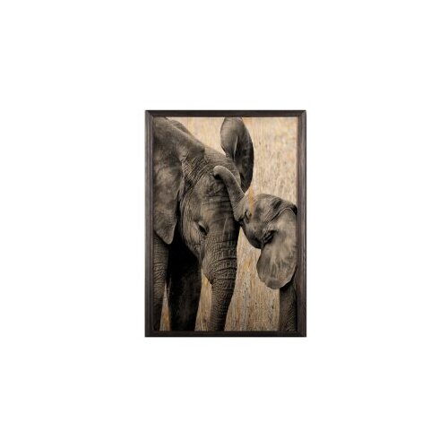 Wallity slika elephant baby, 50 x 70 cm Cene