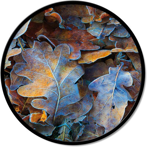 Pintdecor Zidni ukras Autunno incorniciato Cene